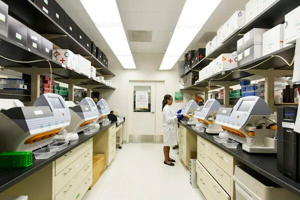 Exames Laboratoriais Veterinários em Goiânia